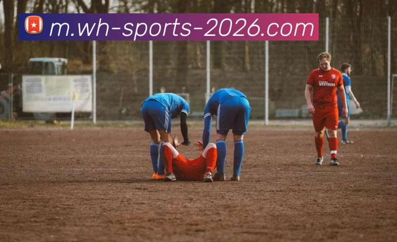 威廉希尔全站App